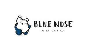 Renée Chambliss Audiobook Narrator Blue Noise Audio Logo